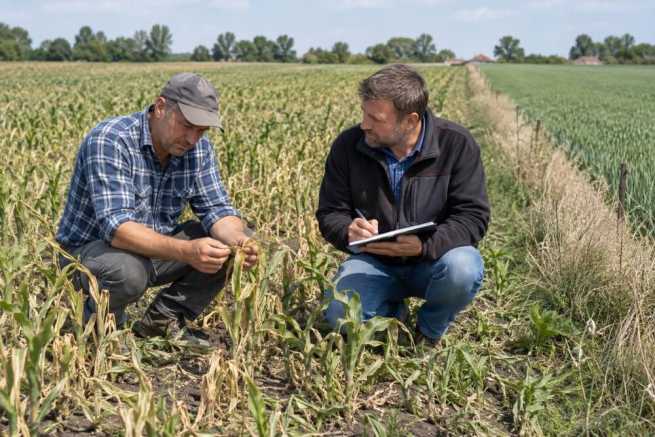 Szkody w uprawach wyrządzone przez sąsiada – dowody i roszczenia